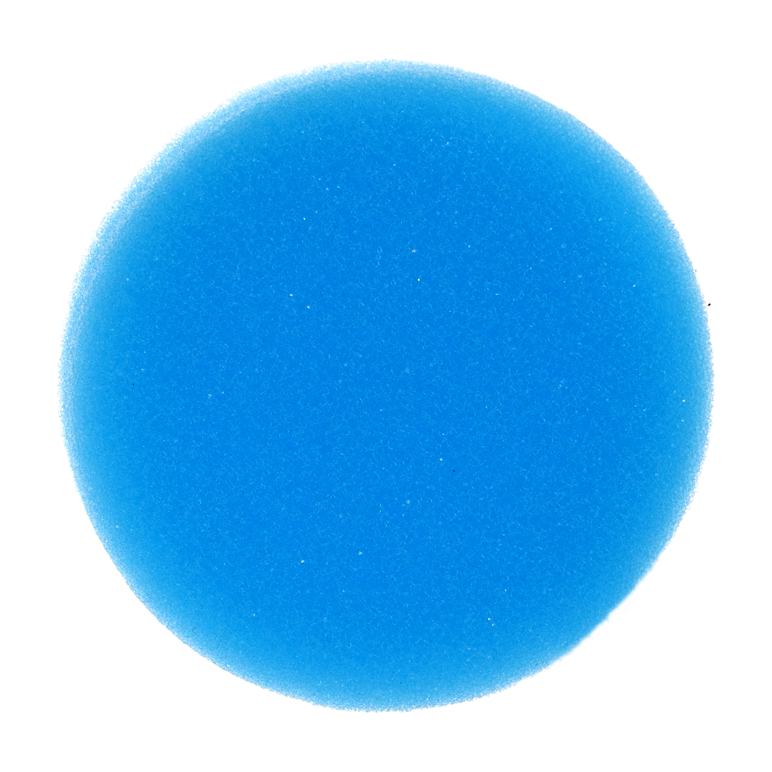 Endodontic 2.5" Round Blue Sponge Foam Cushions for Endo Files (Bag of 50)