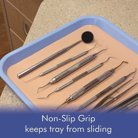 Blue Dental Set Up Instrument Autoclave Flat Tray, 13 1/4″ x 9 3/4″ (Ritter Size B) by PlastCare USA - My DDS Supply