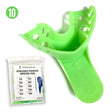 Anterior Lower #10 Autoclave Perforated Impression Trays