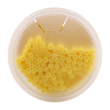 TULIP Fine Micro Applicator Brushes – Yellow (1.5mm) | (4 kegs of 100) (400 Total)